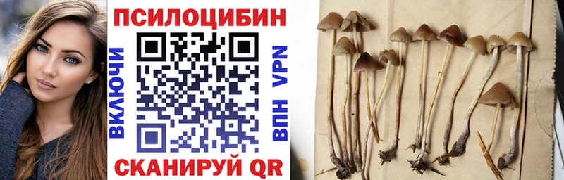 Псилоцибиновые грибы GOLDEN TEACHER  Приволжск 